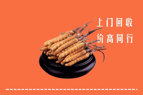 高价求购：宜春市宜丰回收散虫草
