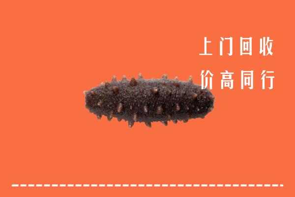 高价求购：宜春市宜丰回收海参