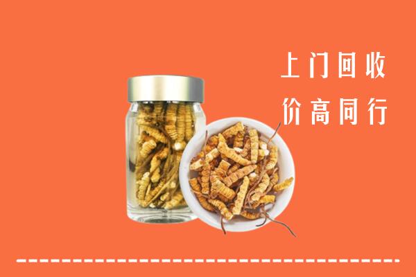 宜春市宜丰回收冬虫夏草