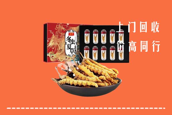 宜春市宜丰回收虫草